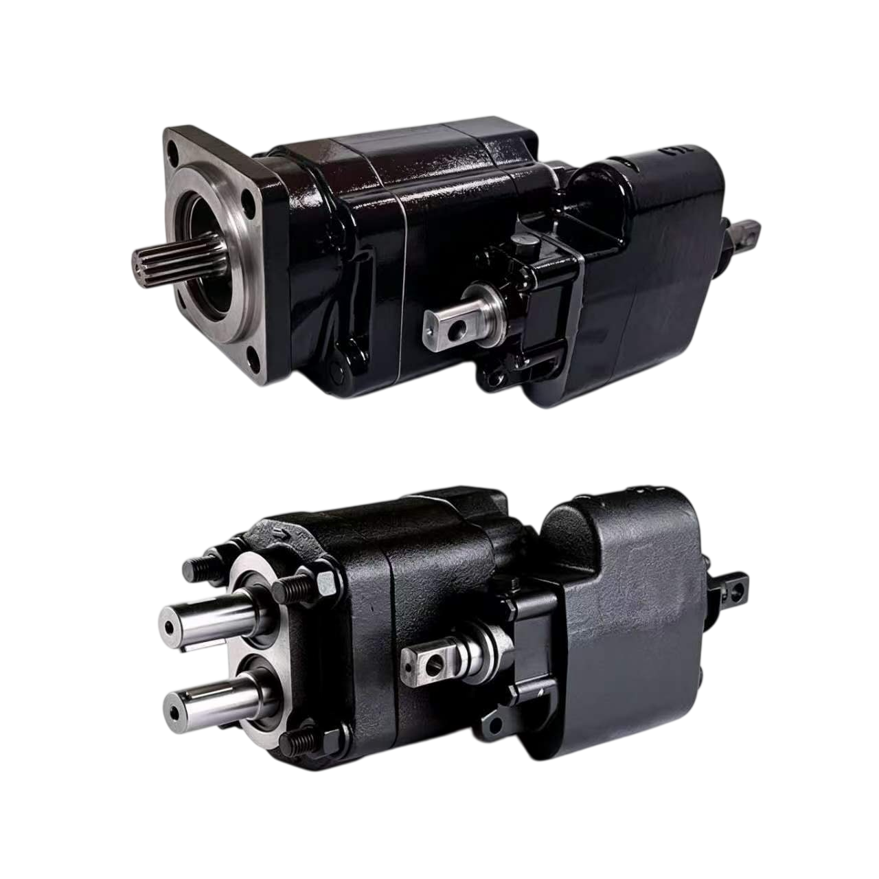 C101 C102 Dump Pump