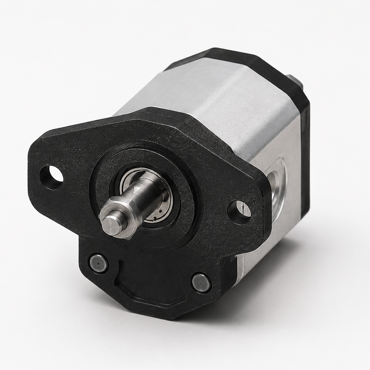 Group 1.25 External Gear Pump