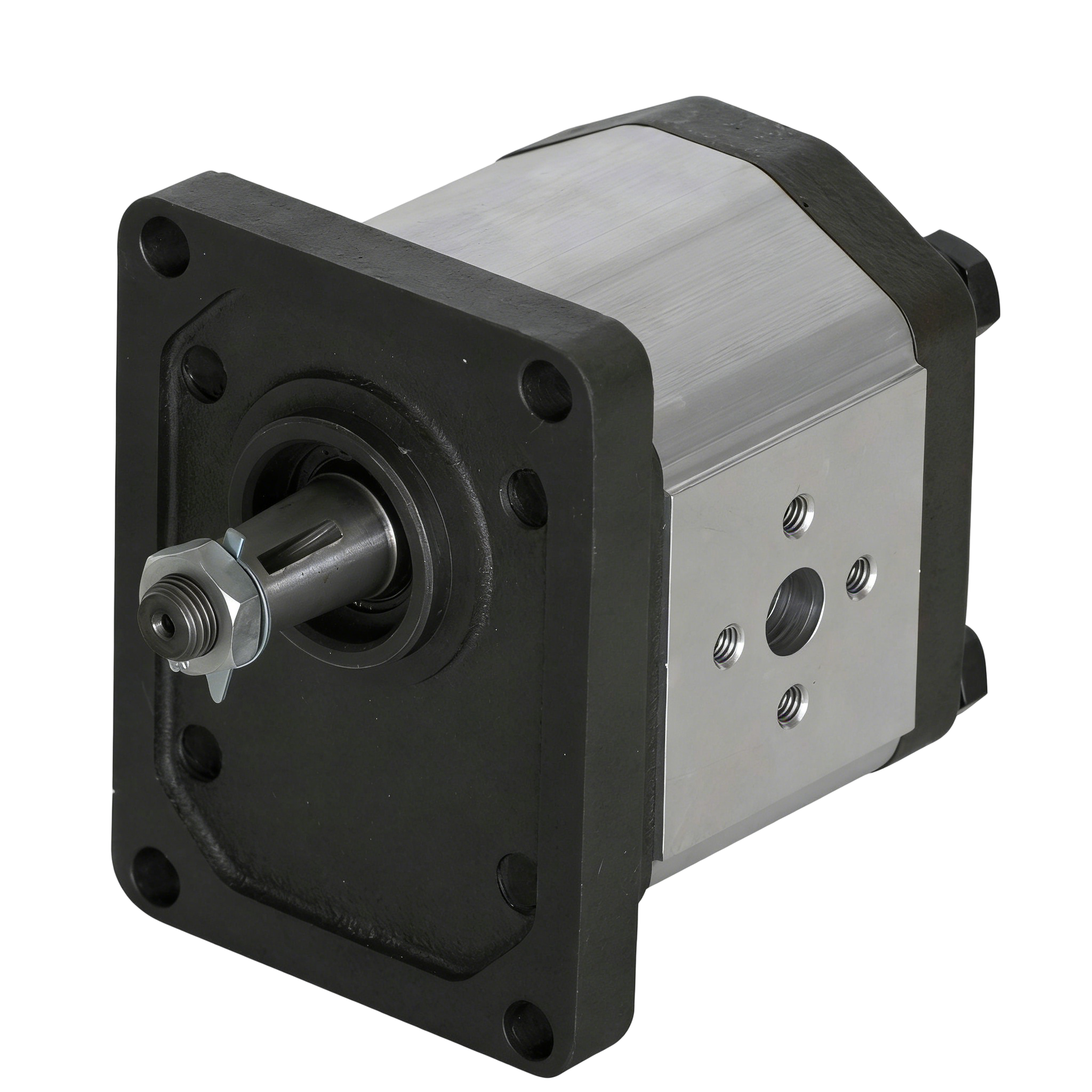 Group 2 External Gear Motor
