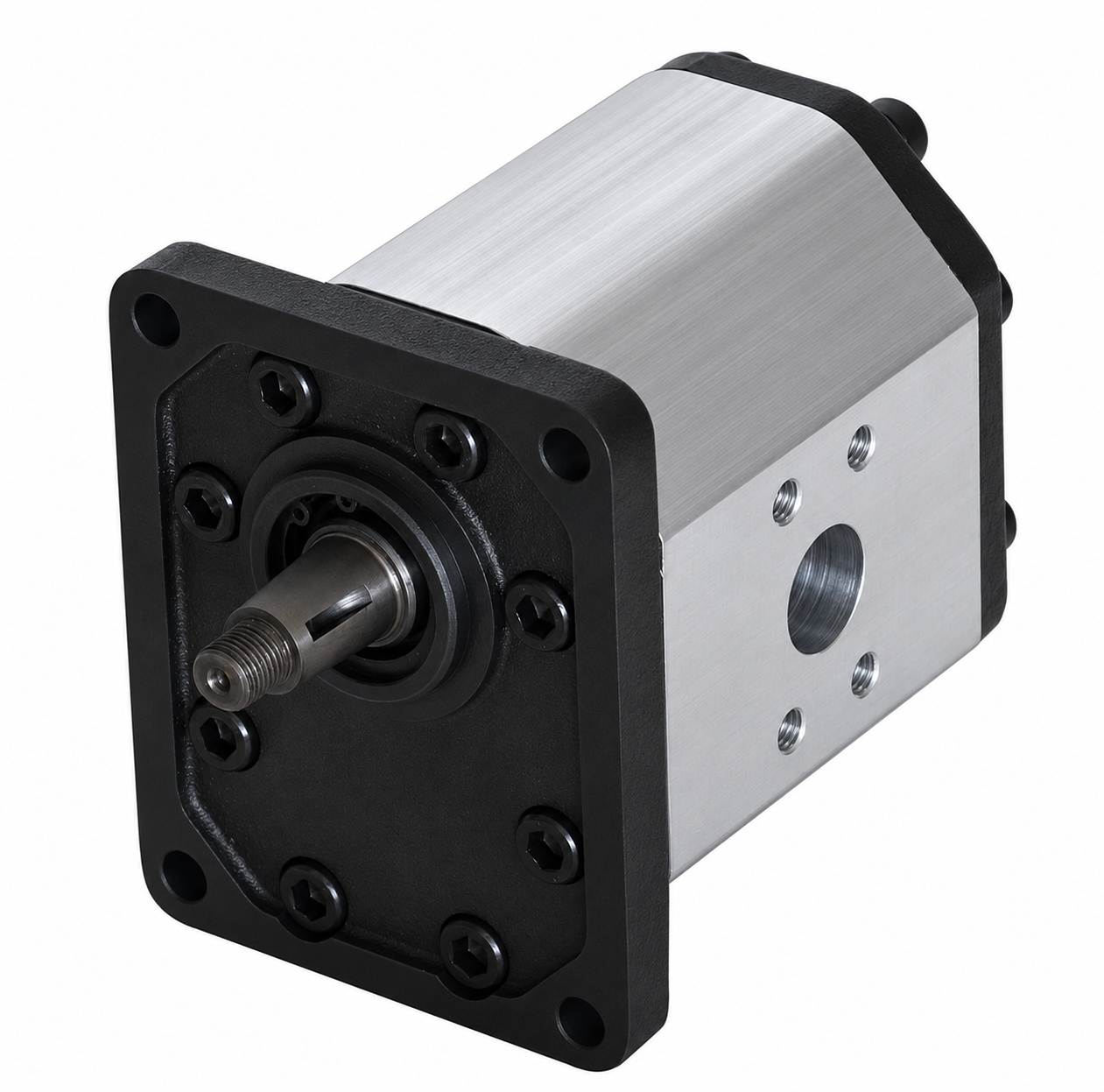 Group 3 External Gear Motor